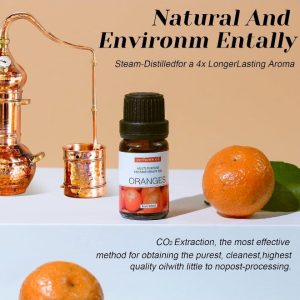 مجموعه اسانس، روغن خالص و طبیعی ممتاز، برای پخش کننده روغن، 6 عدد در 10 میلی لیتر